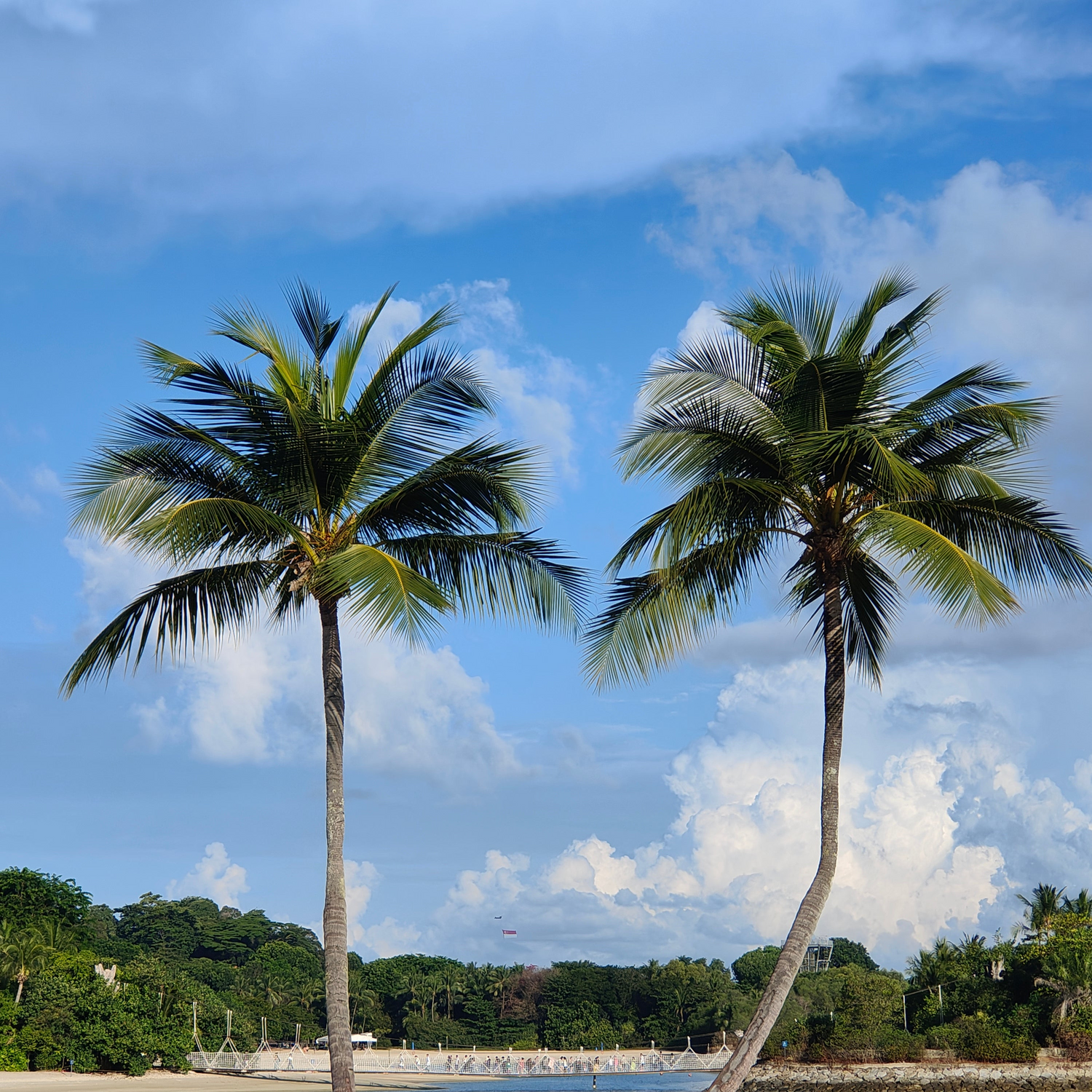 Sentosa Palawan Beach with the national flag in the background